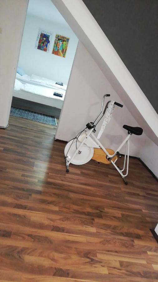 Apartman Romy Pancevo Phòng bức ảnh
