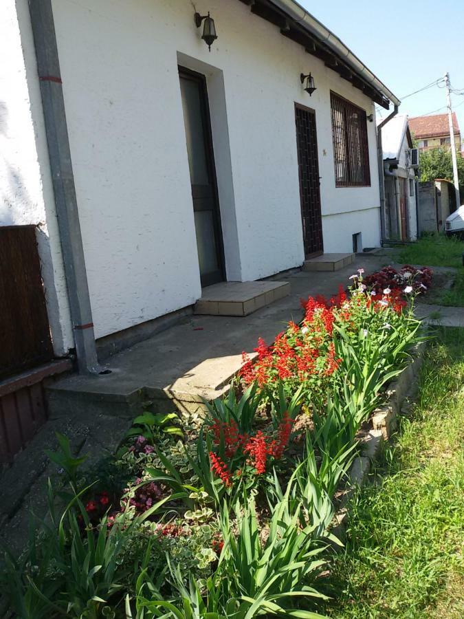 Apartman Romy Pancevo Ngoại thất bức ảnh